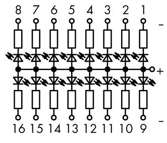 289202_18716