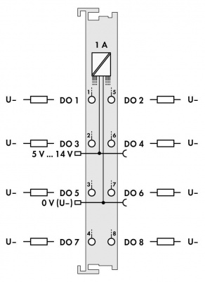 753534_28703
