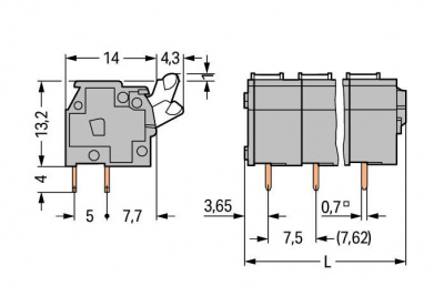 255506_12966