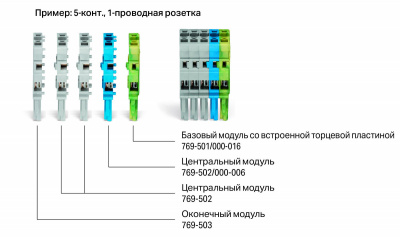769504000006_31031