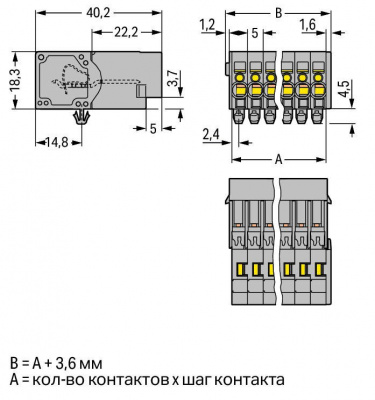 769604001000_31082