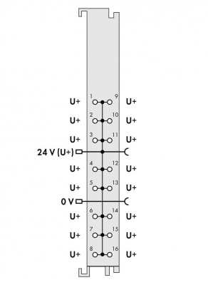 7501605_26936