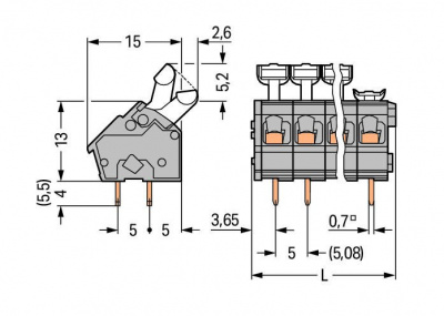 256403_13191