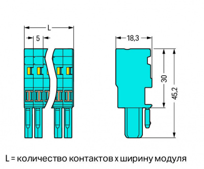 769101000006_30681