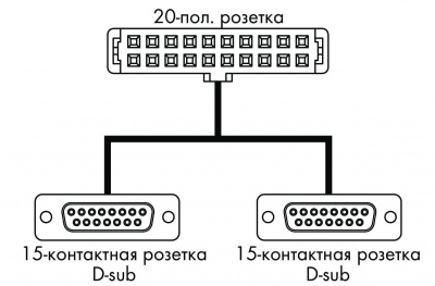 7067753306200_19481