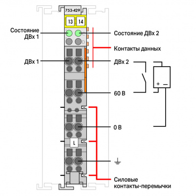 753429_28517