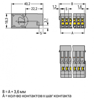 769606_31104