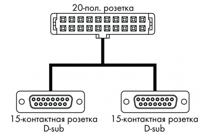 7067753306100_19479