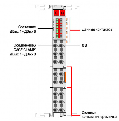 7501515_26922