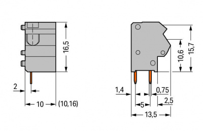 254651_12702